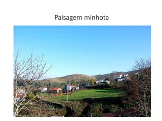 Paisagem minhota
 