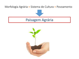Morfologia Agrária + Sistema de Cultura + Povoamento
Paisagem Agrária
 