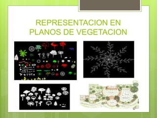 REPRESENTACION EN
PLANOS DE VEGETACION
 