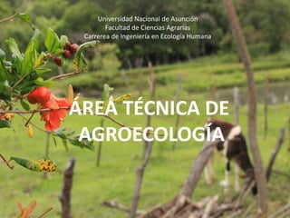 Universidad Nacional de Asunción
Facultad de Ciencias Agrarias
Carrerea de Ingeniería en Ecología Humana
ÁREA TÉCNICA DE
AGROECOLOGÍA
 