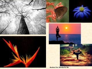 Awaken You Wonderful We
 