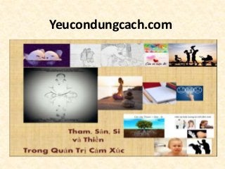 Yeucondungcach.com
 