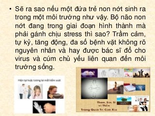 • Sẽ ra sao nếu một đứa trẻ non nớt sinh ra
trong một môi trường như vậy. Bộ não non
nớt đang trong giai đoạn hình thành mà
phải gánh chịu stress thì sao? Trầm cảm,
tự kỷ, tăng động, đa số bệnh vặt không rõ
nguyên nhân và hay được bác sĩ đổ cho
virus và cúm chủ yếu liên quan đến môi
trường sống.
 