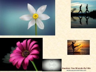 Awaken You Wonderful We
awakenyouwonderfulwe.com
 