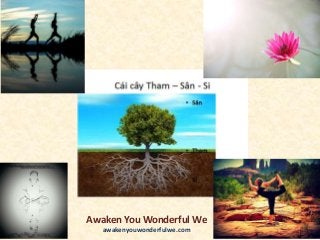 Awaken You Wonderful We
awakenyouwonderfulwe.com
 