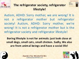 The refrigerator society, refrigerator
lifestyle!
Autism, ADHD: Sorry mother, we are wrong! It is
not a refrigerator mother but refrigerator
society! Autism, ADHD: Sorry mother, we're
wrong! It is not a refrigerator mother but is the
refrigerator society and refrigerator lifestyle!
Boring lifestyle is not for animals: just look close at
small dogs, small cats, small chicken. Sadly, We also
are from animal beings and have a social life!
Awaken You Wonderful We
awakenyouwonderfulwe.com
 