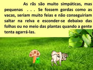As rãs são muito simpáticas, mas
pequenas . . . Se fossem gordas como as
vacas, seriam muito feias e não conseguiriam
saltar na relva e esconder-se debaixo das
folhas ou no meio das plantas quando a gente
tenta agarrá-las.
 