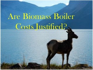 Are Biomass Boiler
Costs Justified?
 