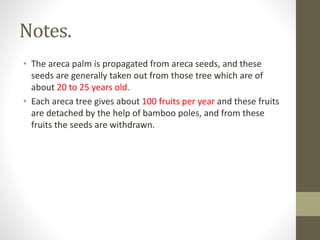 Areca nut | PPTX