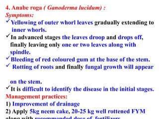 Anabe Roga Areca nut production methods and fertilizer application | PPTX
