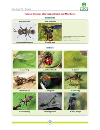 arecanut Integrated pest and disease management | PDF