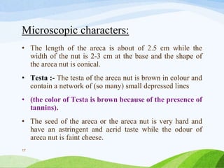 Microscopic characters:
• The length of the areca is about of 2.5 cm while the
width of the nut is 2-3 cm at the base and the shape of
the areca nut is conical.
• Testa :- The testa of the areca nut is brown in colour and
contain a network of (so many) small depressed lines
• (the color of Testa is brown because of the presence of
tannins).
• The seed of the areca or the areca nut is very hard and
have an astringent and acrid taste while the odour of
areca nut is faint cheese.
17
 