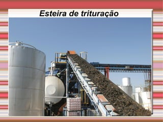 Esteira de trituração 