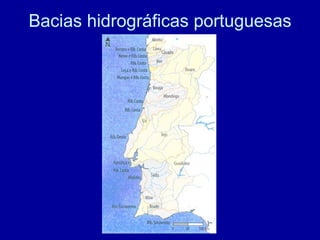 Bacias hidrográficas portuguesas 