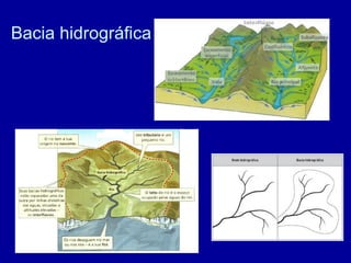 Bacia hidrográfica
 