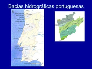 Bacias hidrográficas portuguesas
 