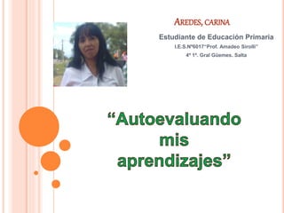 AREDES, CARINA
Estudiante de Educación Primaria
I.E.S.Nº6017“Prof. Amadeo Sirolli”
4º 1º. Gral Güemes. Salta
 