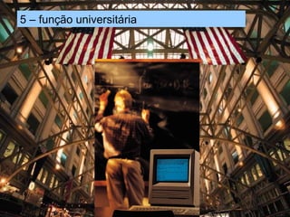 5 – função universitária 