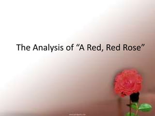 The Analysis of “A Red, Red Rose”

 