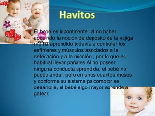 El bebé es incontinente al no haber
adquirido la noción de depósito de la vejiga
(no ha aprendido todavía a controlar los
esfínteres y músculos asociados a la
defecación y a la micción , por lo que es
habitual llevar pañales Al no poseer
ninguna conducta aprendida, el bebé no
puede andar, pero en unos cuantos meses
y conforme su sistema psicomotor se
desarrolla, el bebé algo mayor aprende a
gatear.
 