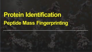 Protein Identification
Peptide Mass Fingerprinting
 