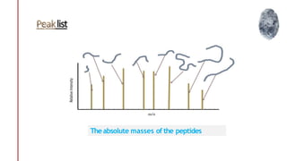 list
Theabsolute masses of the peptides
 