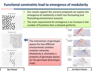 Modularity in metabolic networks | PPT