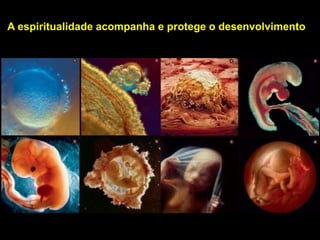 A espiritualidade acompanha e protege o desenvolvimento
 