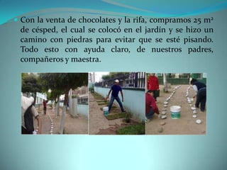  Con la venta de chocolates y la rifa, compramos 25 m2
 de césped, el cual se colocó en el jardín y se hizo un
 camino con piedras para evitar que se esté pisando.
 Todo esto con ayuda claro, de nuestros padres,
 compañeros y maestra.
 