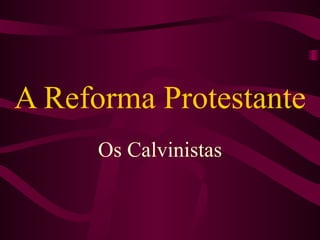 A Reforma Protestante Os Calvinistas 