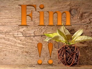 A reforma protestante   h.c.a.