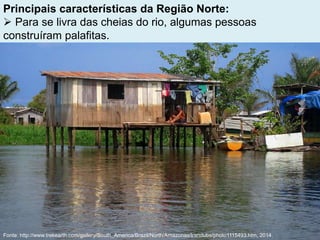 Principais características da Região Norte:
 Para se livra das cheias do rio, algumas pessoas
construíram palafitas.
Fonte: http://www.trekearth.com/gallery/South_America/Brazil/North/Amazonas/Iranduba/photo1115493.htm, 2014.
 