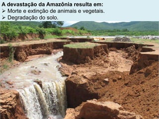 A devastação da Amazônia resulta em:
 Morte e extinção de animais e vegetais.
 Degradação do solo.
 