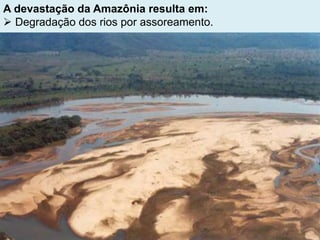 A devastação da Amazônia resulta em:
 Degradação dos rios por assoreamento.
 