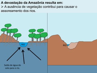 A devastação da Amazônia resulta em:
 A ausência de vegetação contribui para causar o
assoreamento dos rios.
Saída de água do
solo para o rio.
RIO RIO
 