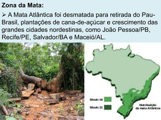 Zona da Mata:
 A Mata Atlântica foi desmatada para retirada do Pau-
Brasil, plantações de cana-de-açúcar e crescimento das
grandes cidades nordestinas, como João Pessoa/PB,
Recife/PE, Salvador/BA e Maceió/AL.
 