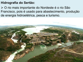 Hidrografia do Sertão:
 O rio mais importante do Nordeste é o rio São
Francisco, pois é usado para abastecimento, produção
de energia hidroelétrica, pesca e turismo.
 