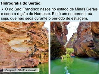 Hidrografia do Sertão:
 O rio São Francisco nasce no estado de Minas Gerais
e corta a região do Nordeste. Ele é um rio perene, ou
seja, que não seca durante o período de estiagem.
Canyon do São Franciso/AL
 