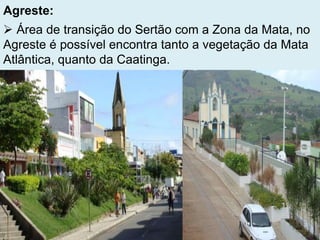 Agreste:
 Área de transição do Sertão com a Zona da Mata, no
Agreste é possível encontra tanto a vegetação da Mata
Atlântica, quanto da Caatinga.
 