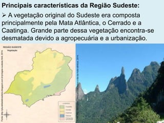 Principais características da Região Sudeste:
 A vegetação original do Sudeste era composta
principalmente pela Mata Atlântica, o Cerrado e a
Caatinga. Grande parte dessa vegetação encontra-se
desmatada devido a agropecuária e a urbanização.
Fonte:http://pluralidadebrasileira.blogspot.com.br/p/regiao-sudeste.html,2014.
Fonte:http://diariodorio.com/cariocas-salve-o-dia-da-mata-atlntica/,2014.
 