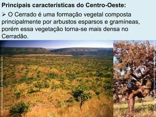 Principais características do Centro-Oeste:
 O Cerrado é uma formação vegetal composta
principalmente por arbustos esparsos e gramíneas,
porém essa vegetação torna-se mais densa no
Cerradão.
Fonte:http://revistasagarana.com.br/vastos-gerais-brasileiros/,2014.
Fonte:http://obafafadaciencia.blogspot.com.br/2008/08/o-cerrado-brasileiro.html,2014.
 