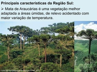 Principais características da Região Sul:
 Mata de Araucárias é uma vegetação melhor
adaptada a áreas úmidas, de relevo acidentado com
maior variação de temperatura.
Fonte:http://fcocaisfaraucarias.blogspot.com.br/, 2014.
 