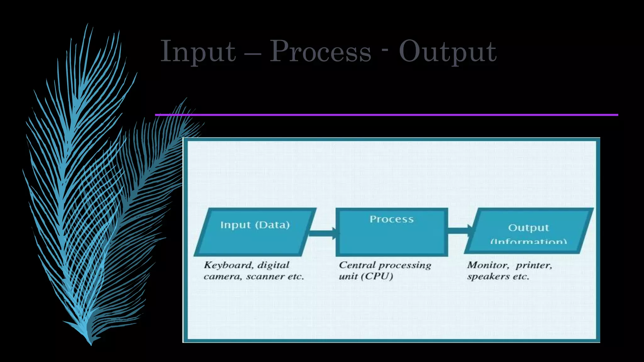 Input – Process - Output
 