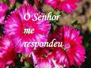 O Senhor me respondeu: