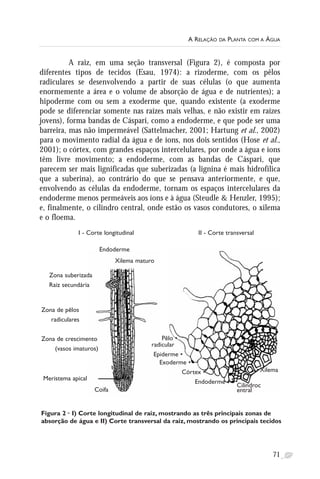 A relação da planta com a água livro | PDF