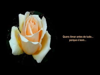 Quero Amar antes de tudo... porque é bom...  