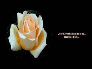 Quero Amar antes de tudo...
porque é bom...

 