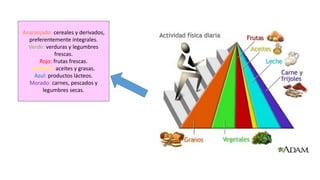 Anaranjado: cereales y derivados,
preferentemente integrales.
Verde: verduras y legumbres
frescas.
Rojo: frutas frescas.
Amarillo: aceites y grasas.
Azul: productos lácteos.
Morado: carnes, pescados y
legumbres secas.
 
