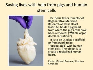 Stem Cells - Playing God or Helping Humanity!