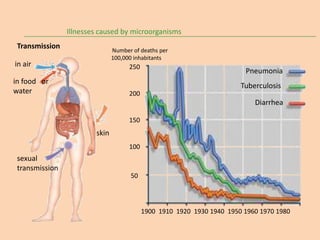 Illnesses caused by microorganisms
 Transmission                  Number of deaths per
                               100,000 inhabitants
in air                               250
                                                                         Pneumonia
in food or
                                                                        Tuberculosis
water                                200
                                                                            Diarrhea

                                     150
                        skin
                                     100
 sexual
 transmission
                                     50




                                           1900 1910 1920 1930 1940 1950 1960 1970 1980
 